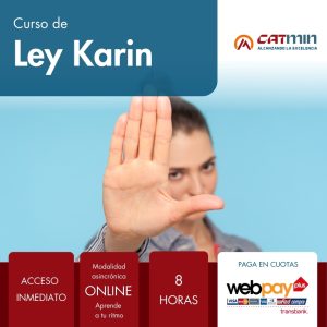 Curso de Ley Karin